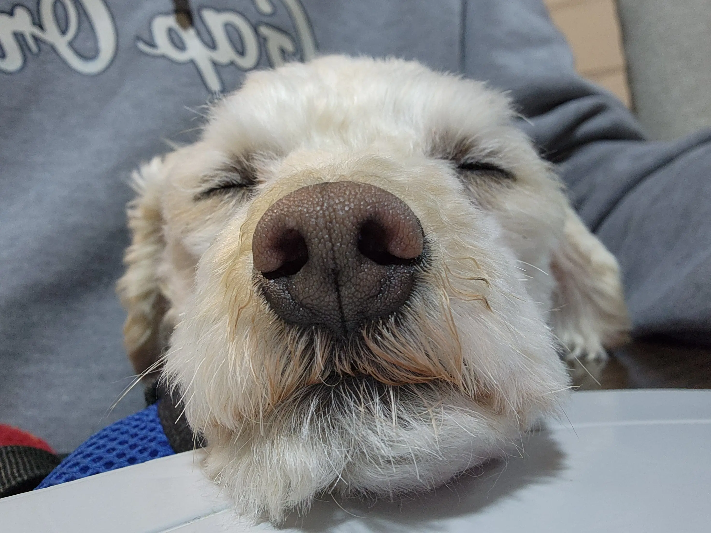 Alvaro Abarca at work with a colleague